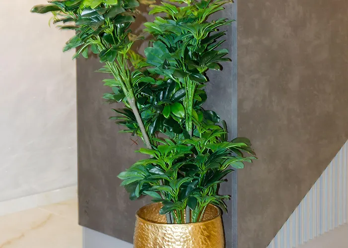 Bed & Breakfast Irini Luxury 4*